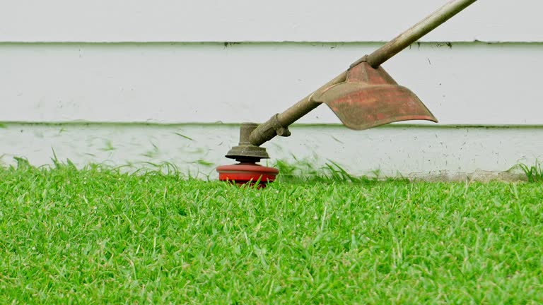 Best Tree Health Inspection  in Westby, WI
